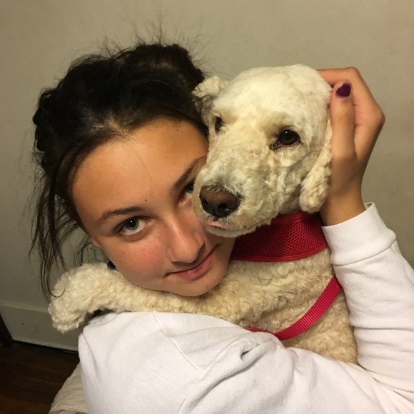 Meet your Posher, Willow - Picture 4 of 9